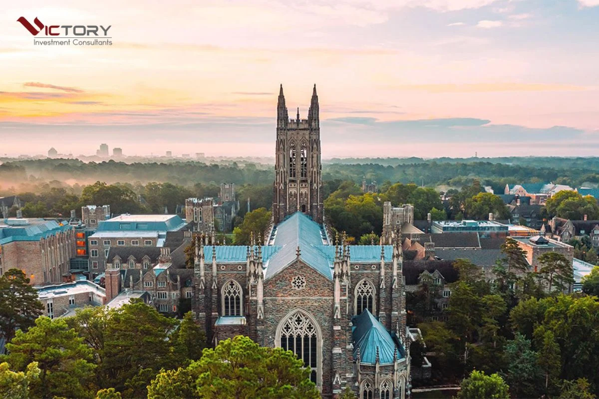 cac truong dai hoc cua my