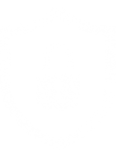 icon chính sách bảo mật