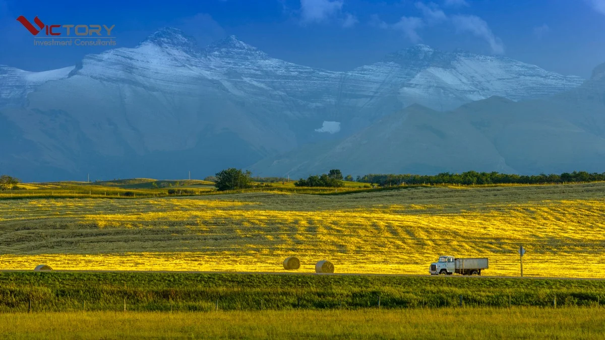 lam viec tai canada voi chuong trinh rural renewal stream alberta lam viec tai canada voi chuong trinh rural renewal stream alberta