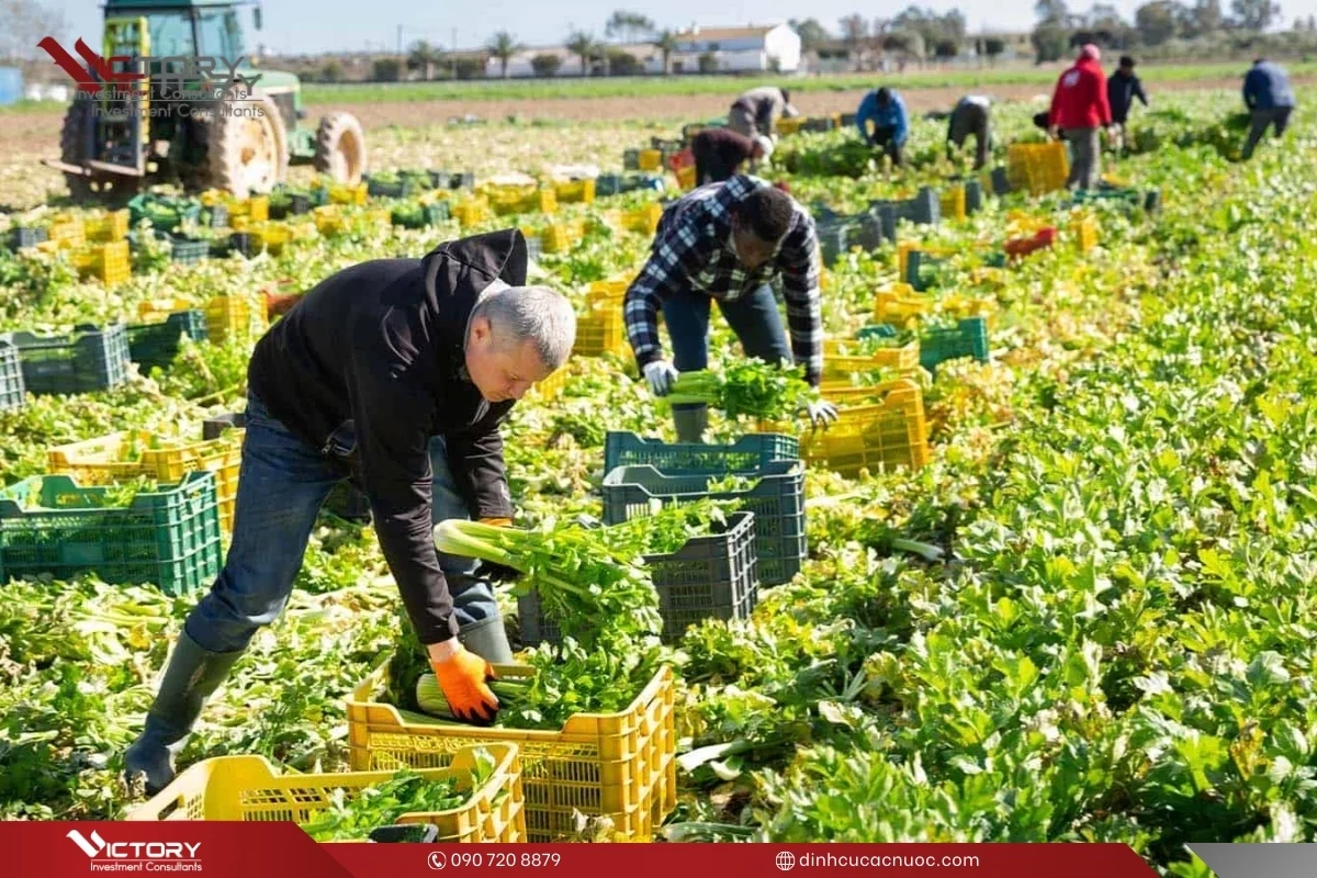 cach di nuoc ngoai lam viec cach di nuoc ngoai lam viec