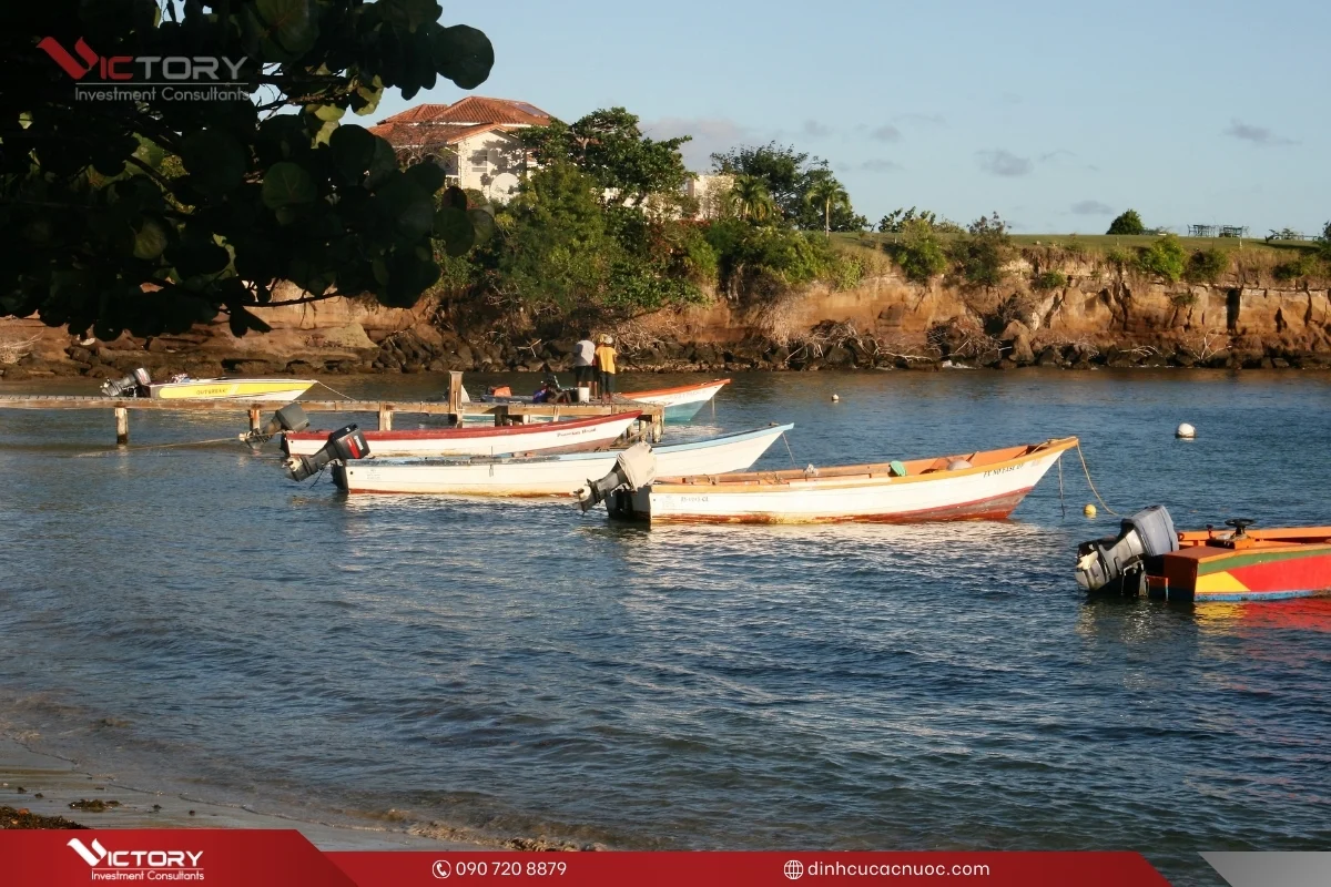 nguoi viet sinh song o grenada