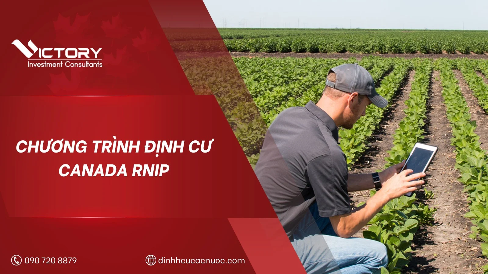 Chương trình định cư rural Canada