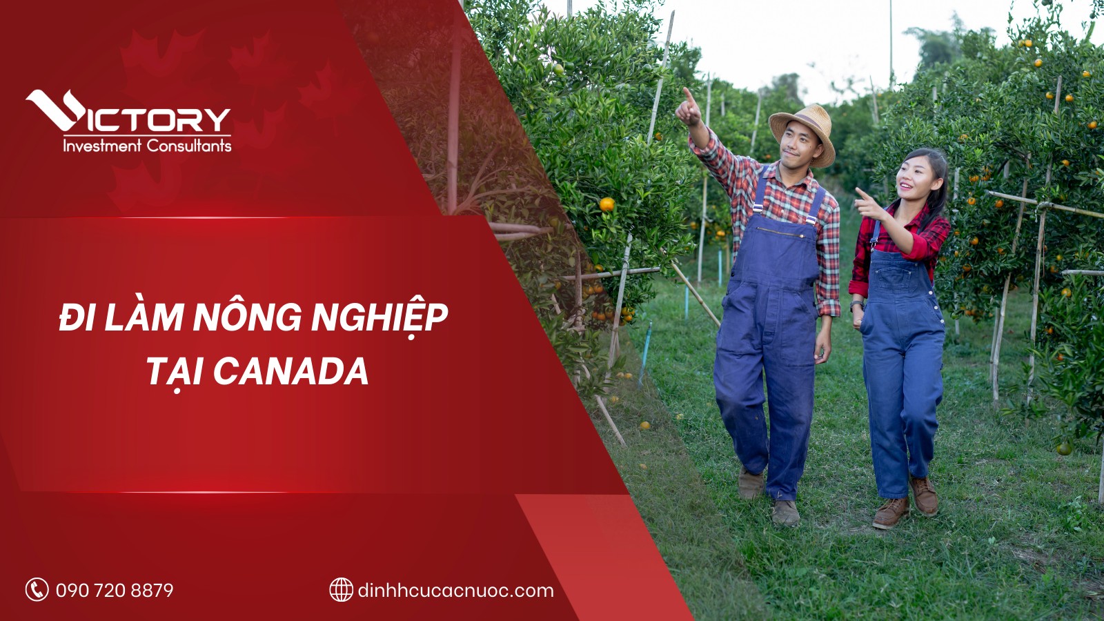 di lam nong nghiep canada