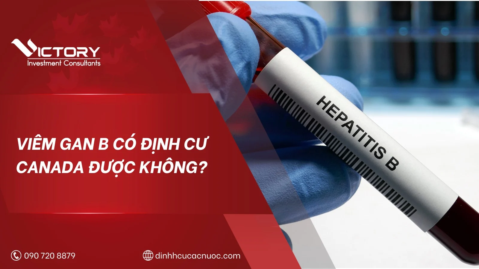 viem gan b co dinh cu canada duoc khong