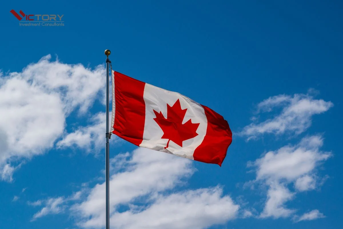 bieu tuong canada la la gi bieu tuong canada la la gi