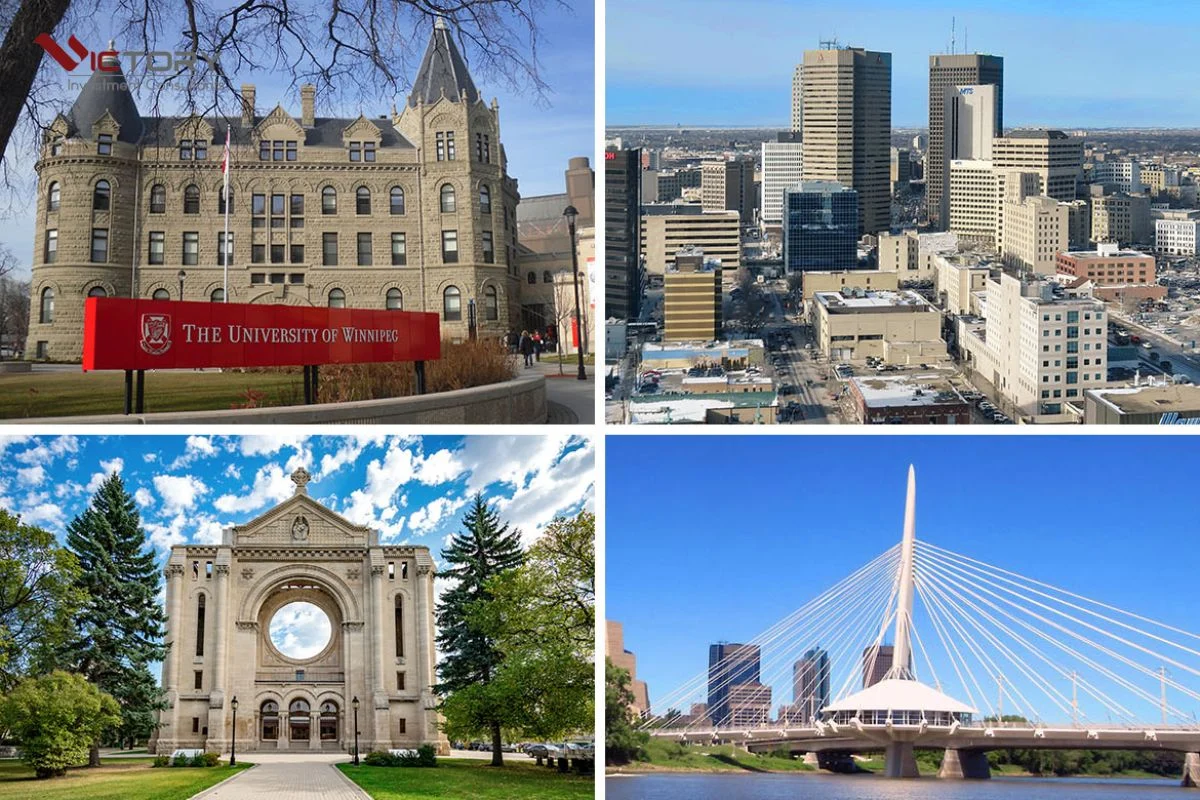 winnipeg winnipeg