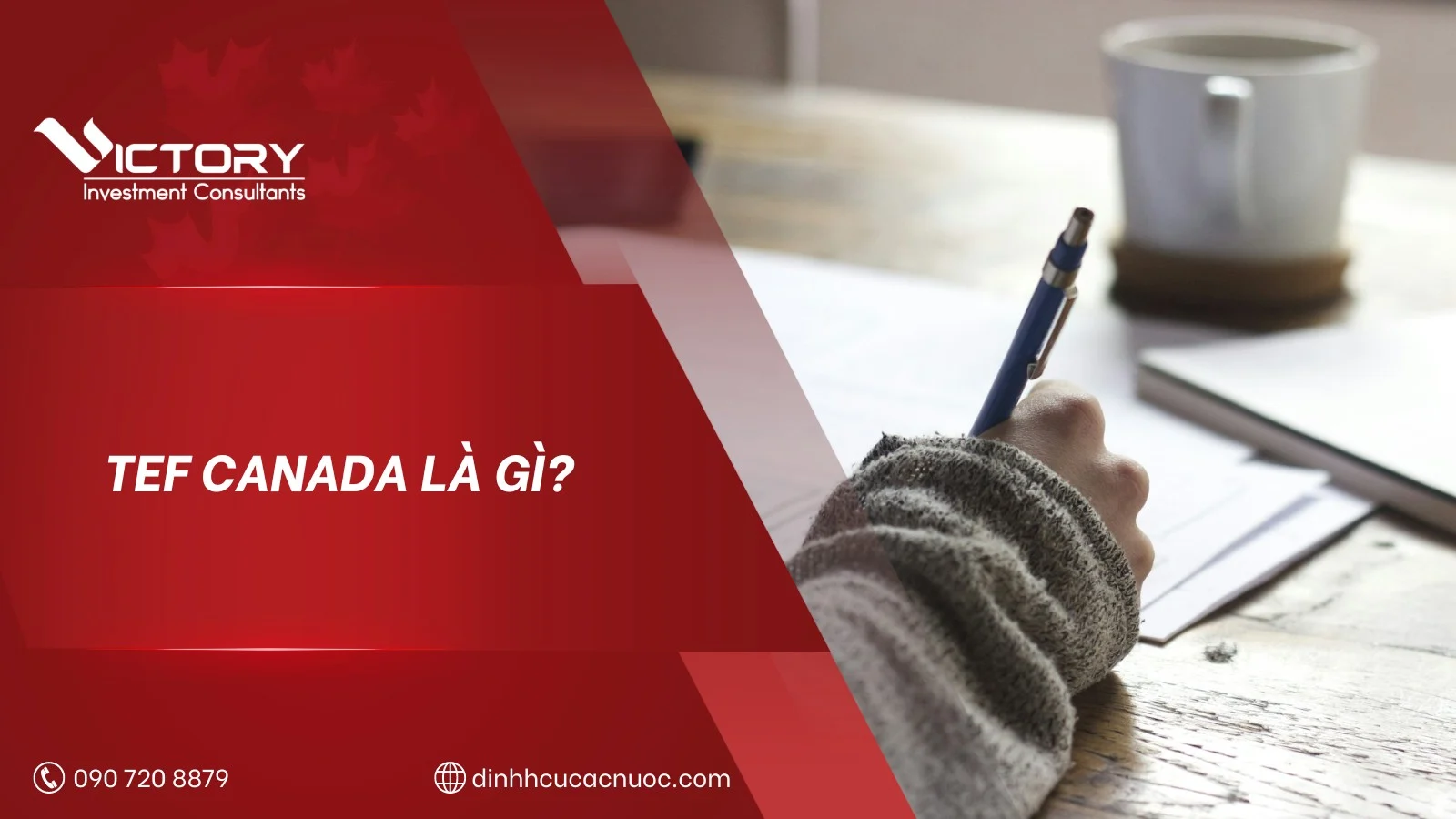 tef canada la gi