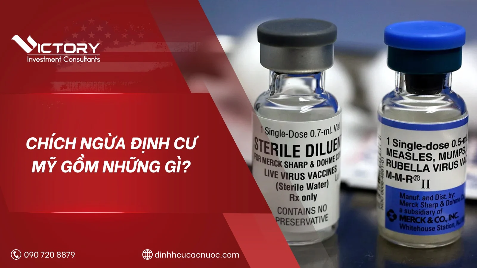 chich ngua dinh cu my gom nhung gi