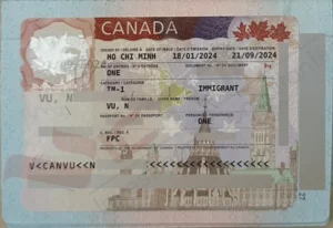 1 visa vnp applicant