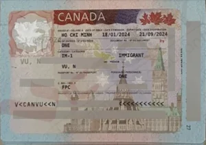 4 visa vnpt child