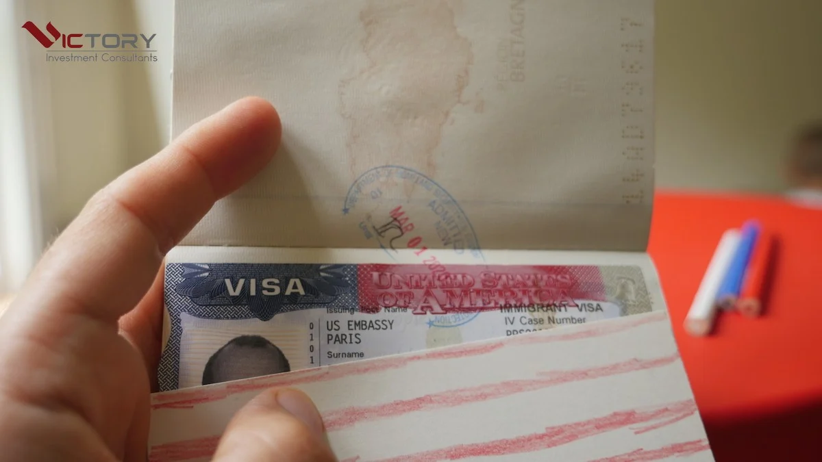 cach lua chon loai visa theo tung muc dich chi tiet