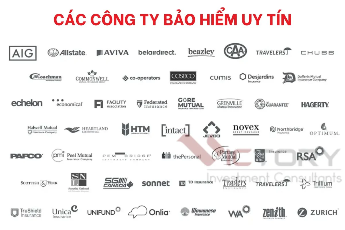 cong ty bao hiem xe hoi canada cong ty bao hiem xe hoi canada