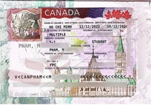 pham minh khang child family visa wp sp 3