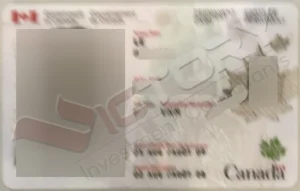 Khách hàng B.N.P.H (Chương trình QIEP 2023, Doanh Nhân Quebec) 30 pr card lbh 1 child