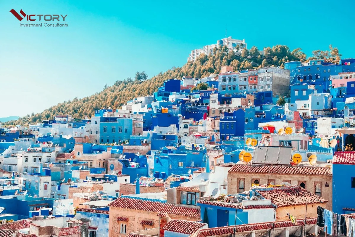 the xanh my nhap canh mot so nuoc chau phi