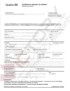 vnhp child family csq 15