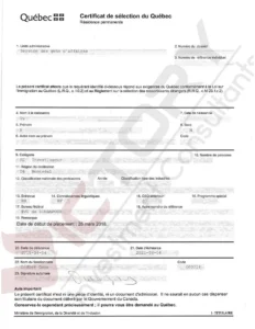 vnhp child family csq 16