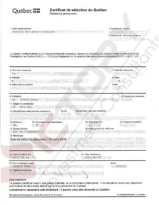 vnhp child family csq 17