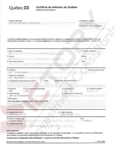 vnpt child family csq 10