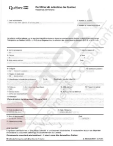 vnpt child family csq 13