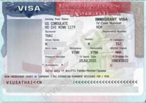 tnb spouse family immigrant visa not stamp 3