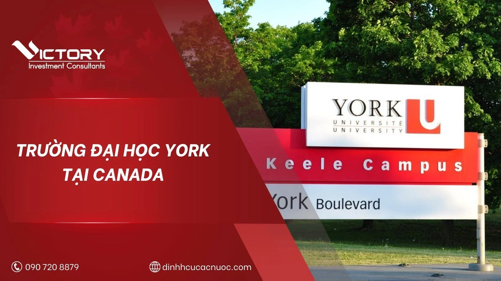 truong dai hoc york tai canada
