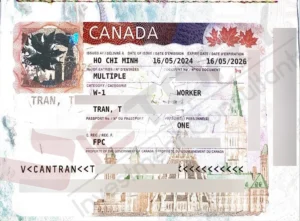 Khách hàng L.P.H.S (Chương trình PEI 2024, Doanh Nhân Đảo Hoàng Tử) 31 tttd spouse visa wp 2024 2026