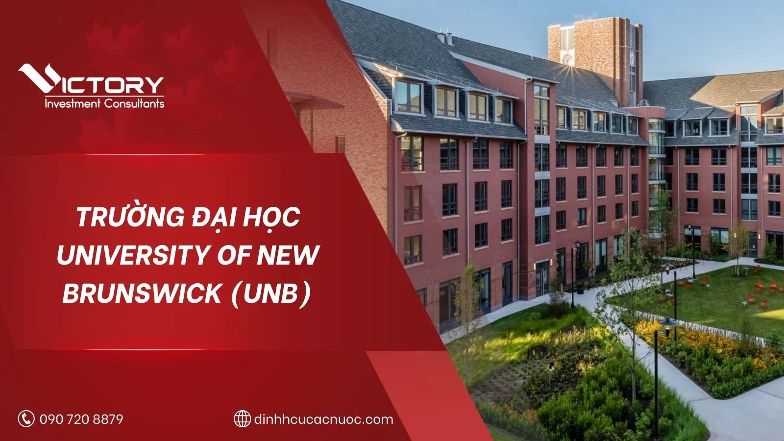 university new brunswick