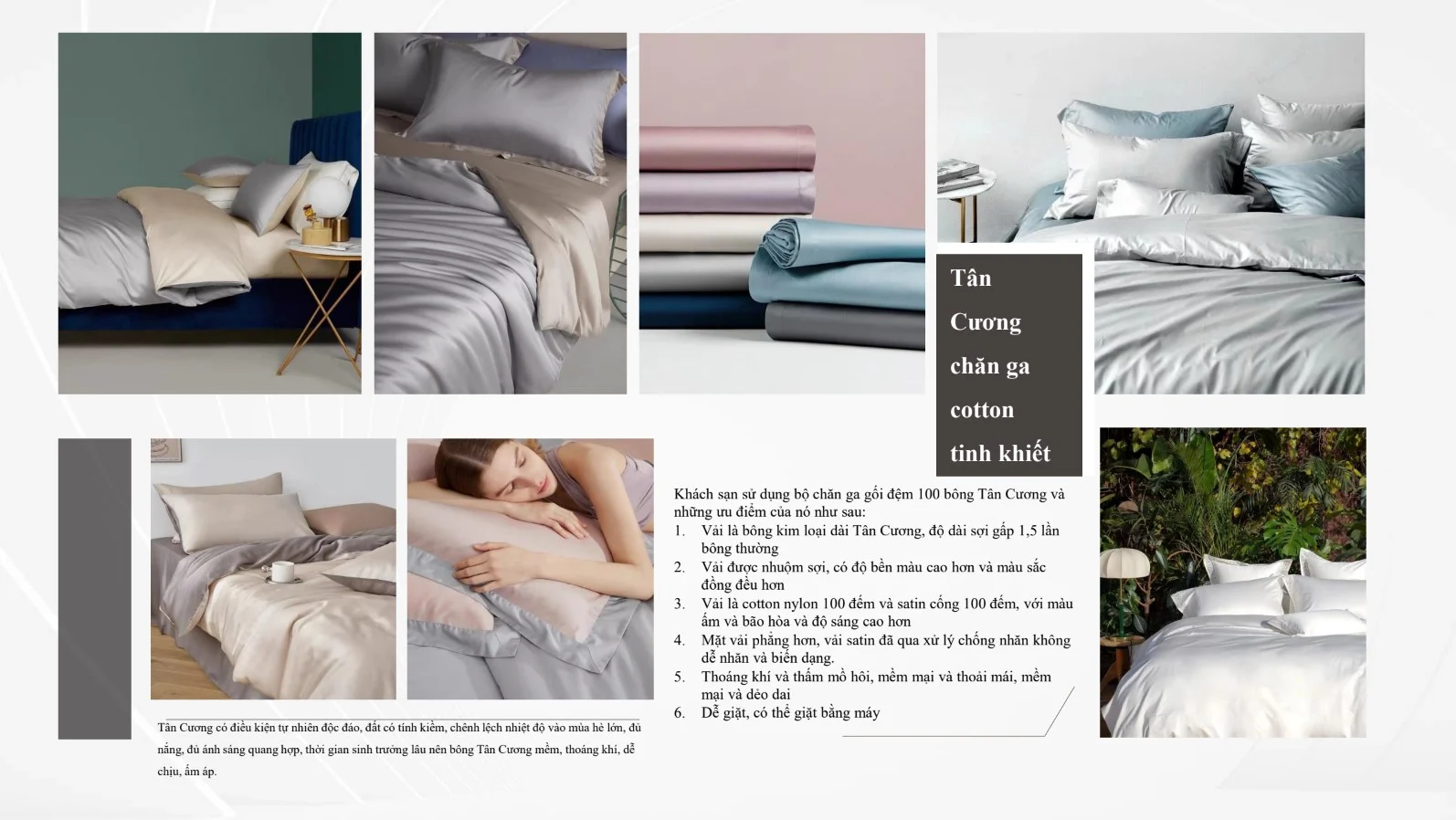 Royal Park Hotel Bồ Đào Nha 70 Closbon1