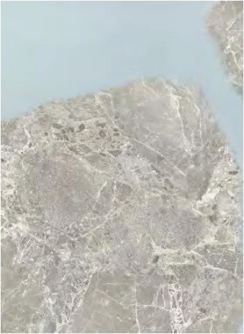 Royal Park Hotel Bồ Đào Nha 57 Thuong hieu cao cap y5