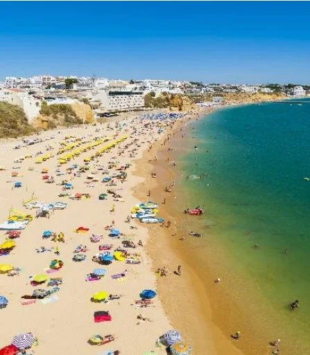 Royal Park Hotel Bồ Đào Nha 13 golden visa4