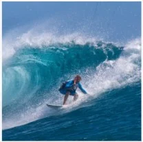 Portugal Pedro Restaurant 67 A City to Live!5