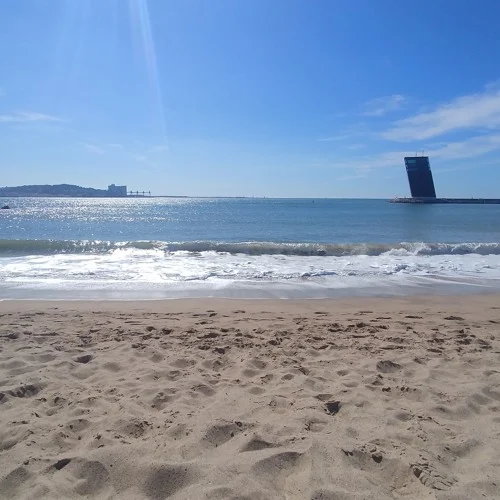 Portugal Santa Catarina Shop 3 17 Bai bien Alges1