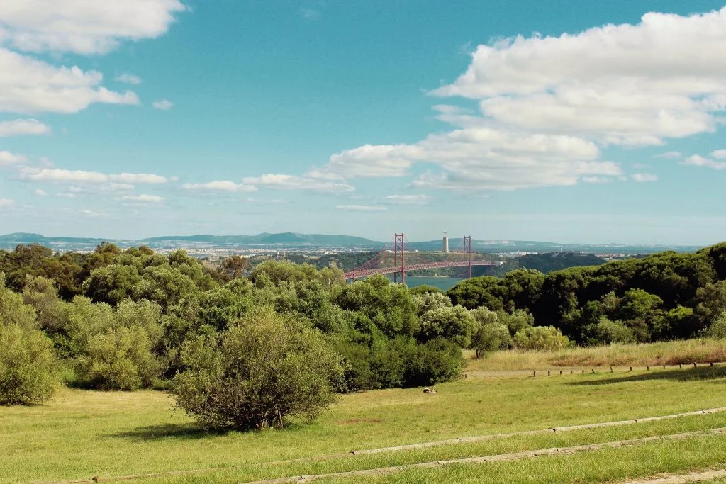 Portugal Santa Catarina Shop 3 19 Monsanto Forest01