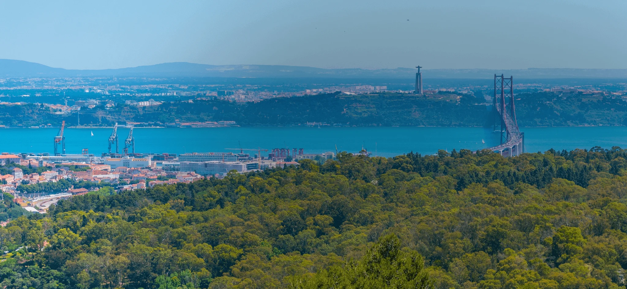 Portugal Santa Catarina Shop 2 17 Monsanto Forest1