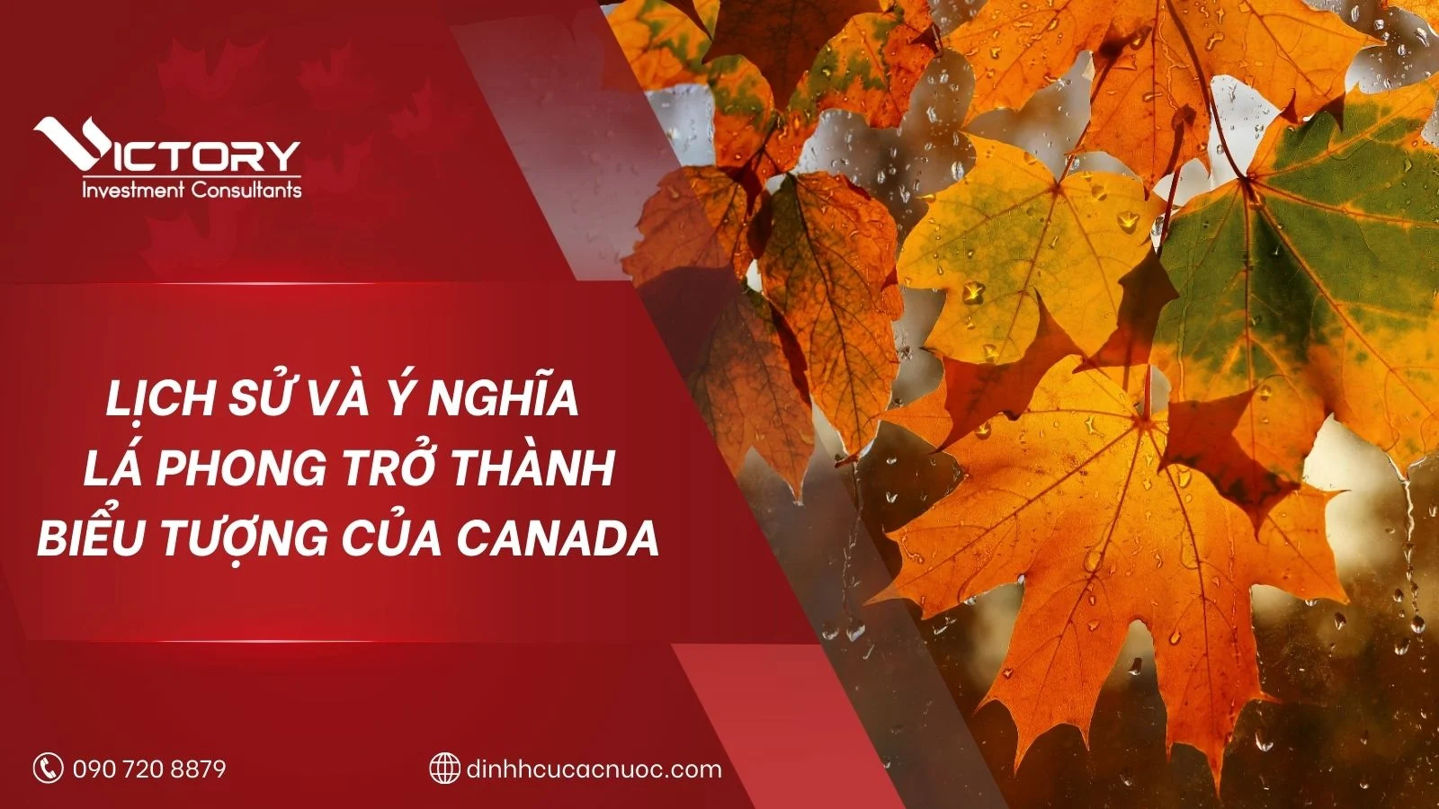 la phong bieu tuong cua canada