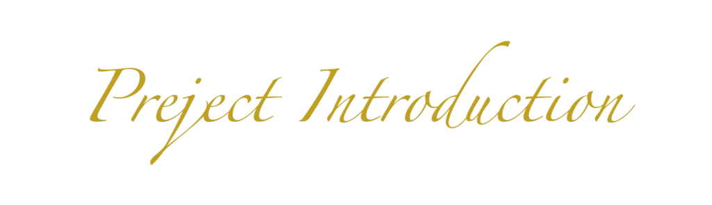 Portugal Pedro Restaurant 17 preject introduction