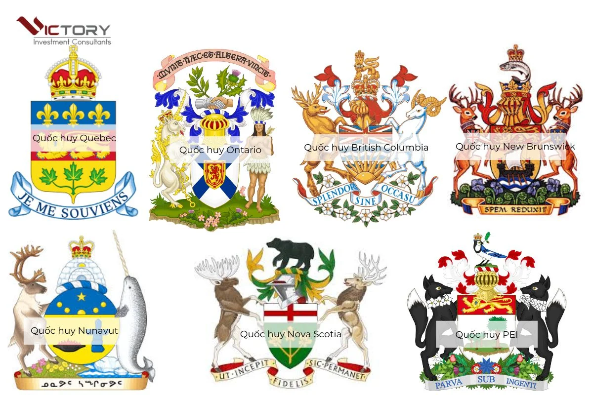 quoc huy canada la gi quoc huy canada la gi