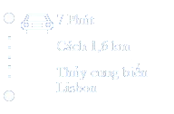 Thuy cung Lisbon thuy cung bien lisbon