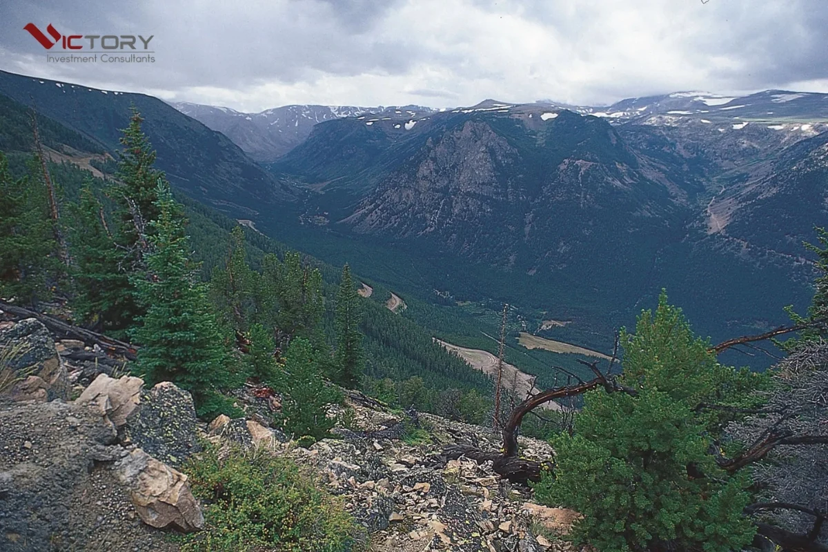 bang thuoc bo dong nuoc my bang thuoc bo dong nuoc my