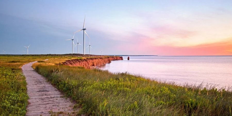 Định cư diện doanh nhân đảo Hoàng tử