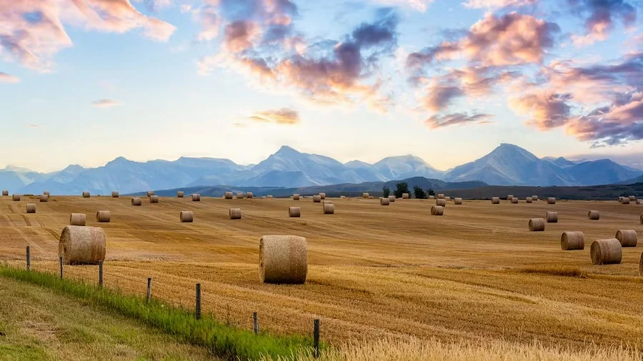 Định cư diện nông nghiệp Alberta