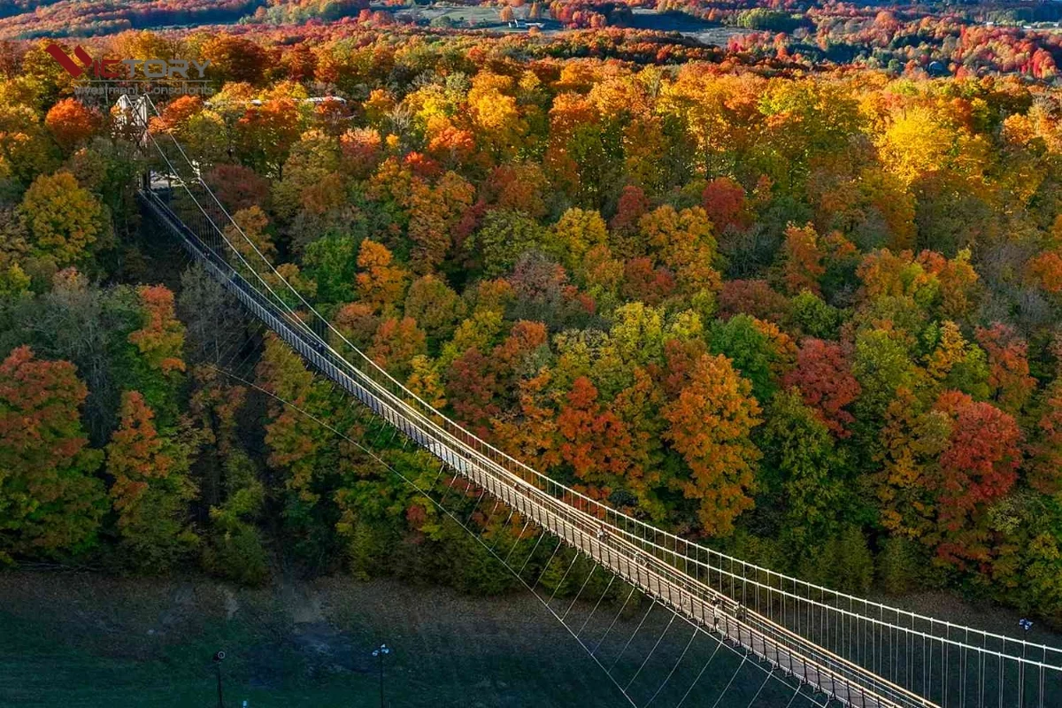 tieu bang michigan my