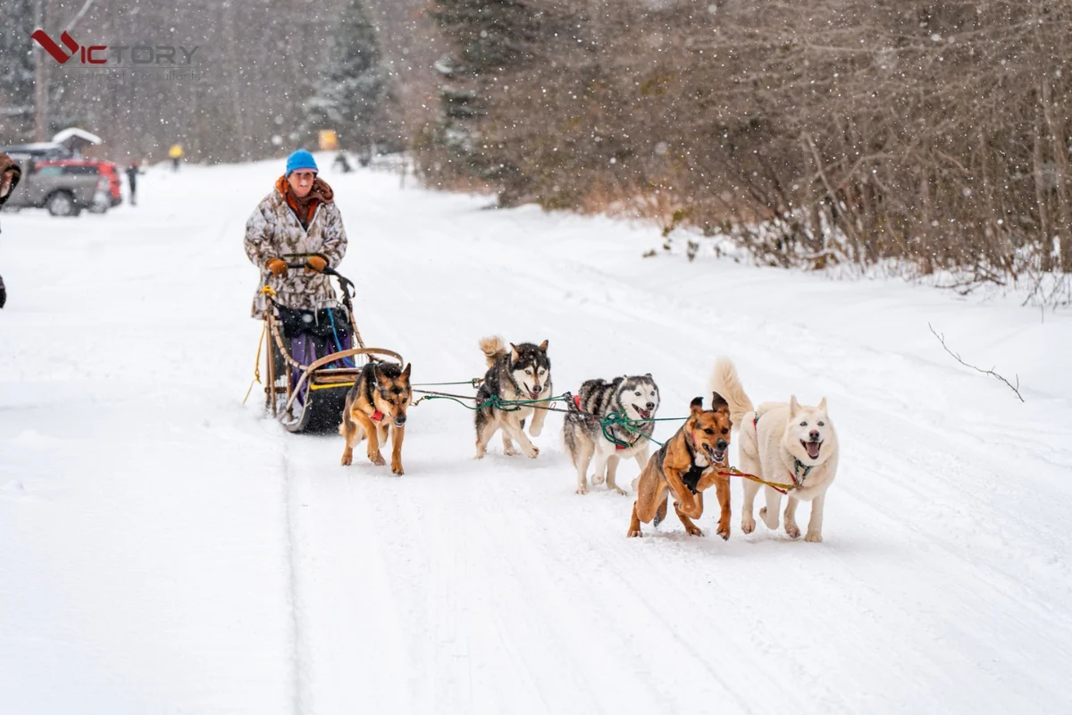 tieu bang pennsylvania tai my