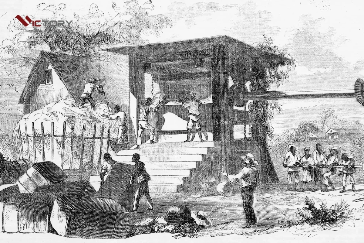 bang louisiana cua my bang louisiana cua my