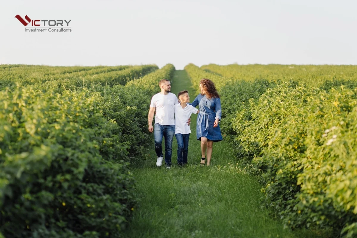 tieu bang iowa o my tieu bang iowa o my