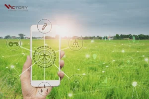 quy trinh van hanh doanh nghiep startup visa canada