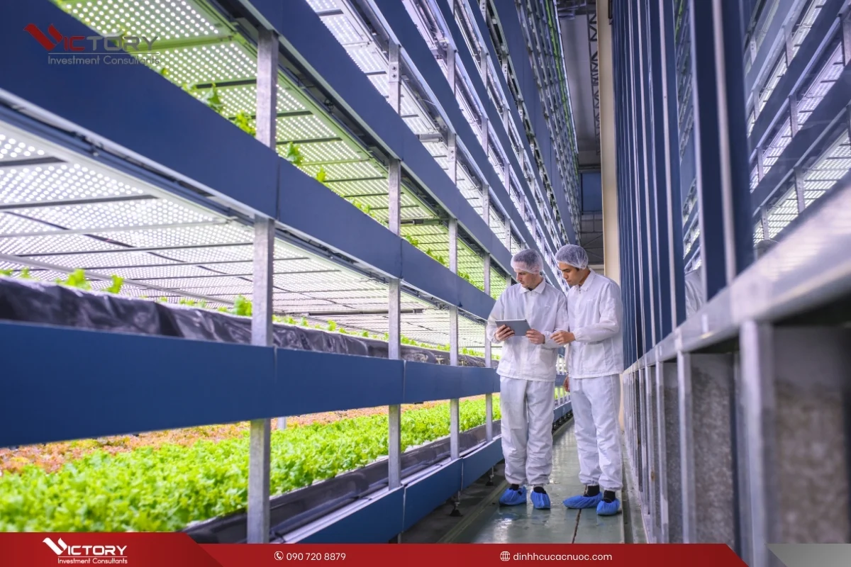 y tuong kinh doanh chuong trinh suv canada y tuong kinh doanh chuong trinh suv canada