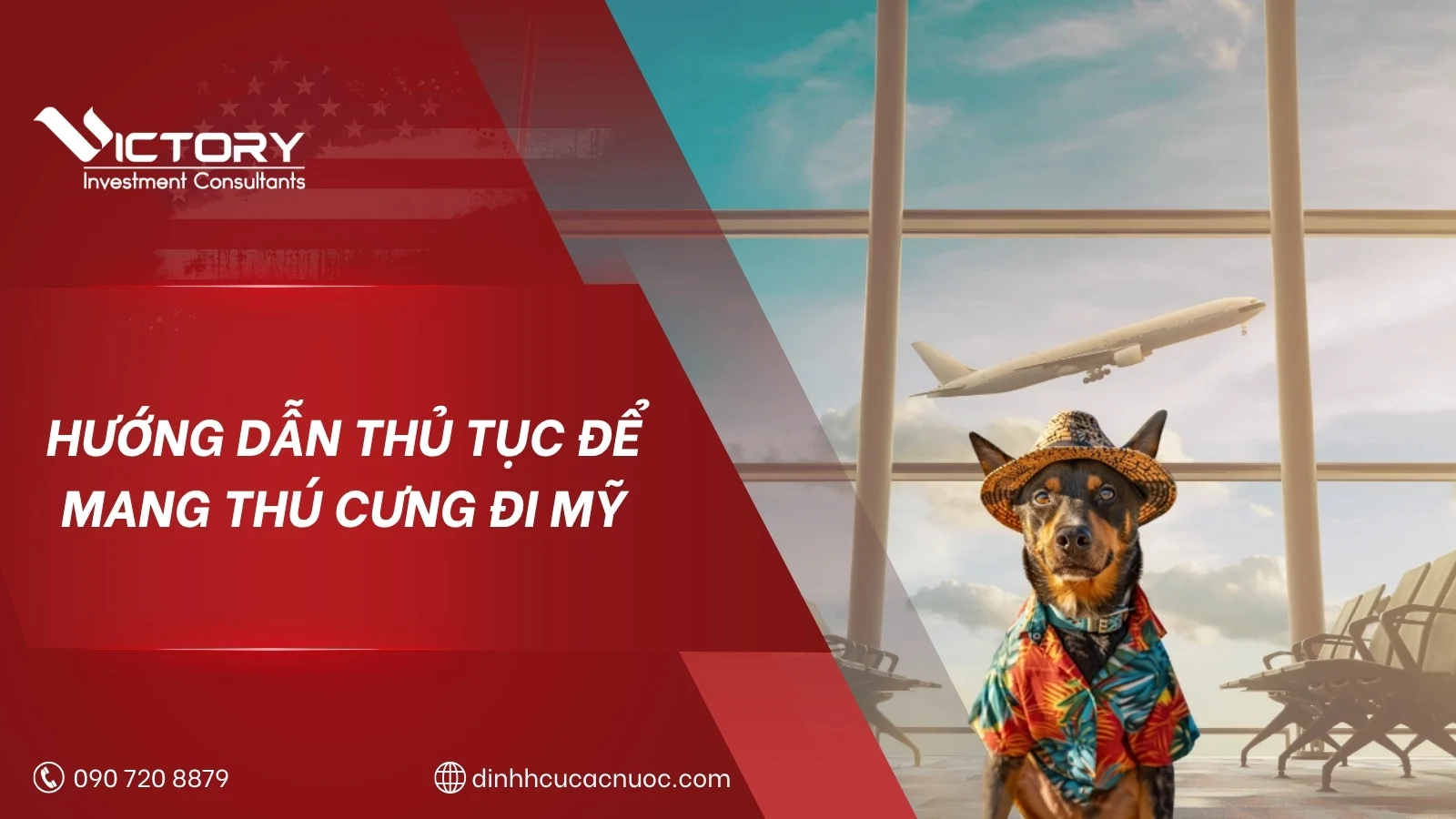 thu tuc mang thu cung di my