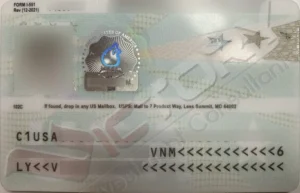 lt spouse family green card 7